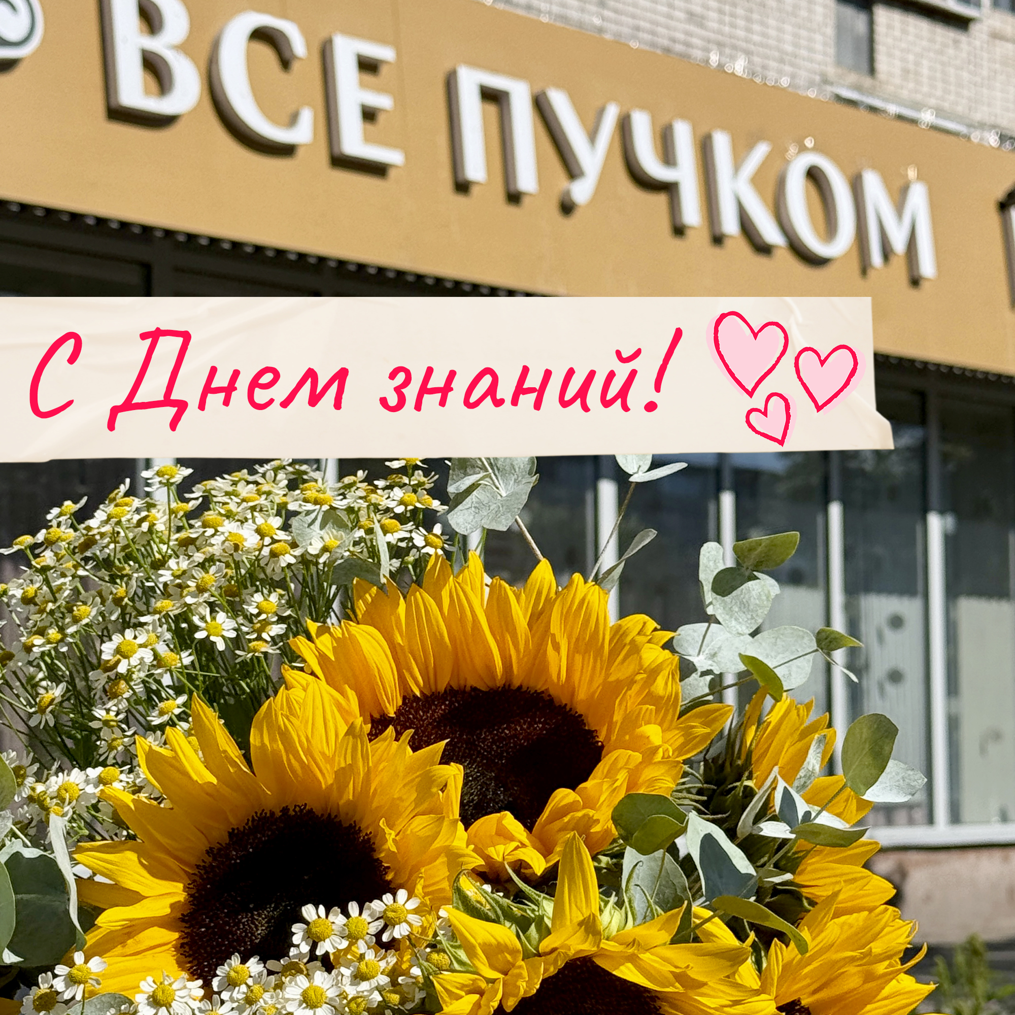 С 1 сентября!